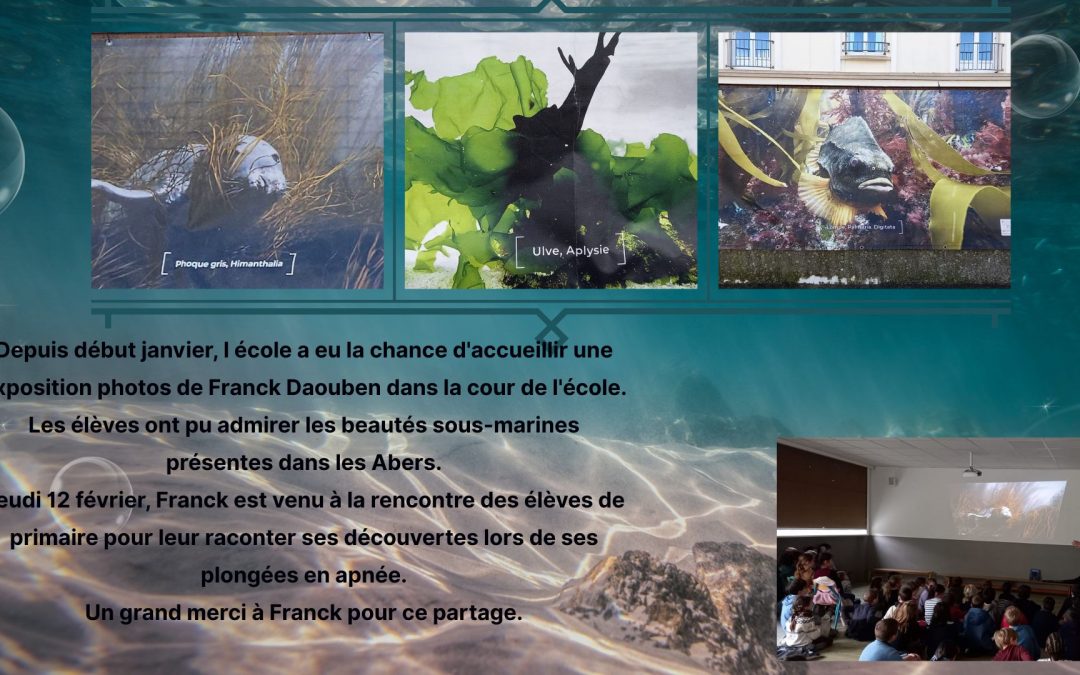 Intervention de Franck Daouben.