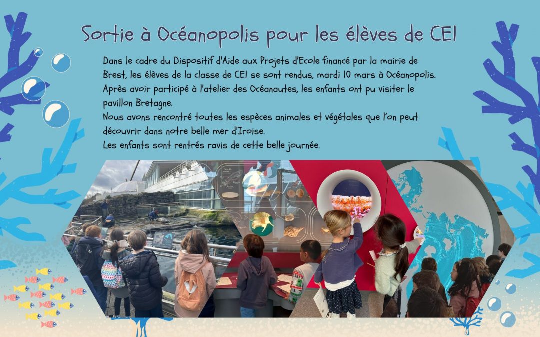 Les élèves de CE1 en sortie à Océanopolis !